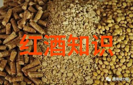 法国葡萄酒的文化艺术我的美食梦之旅