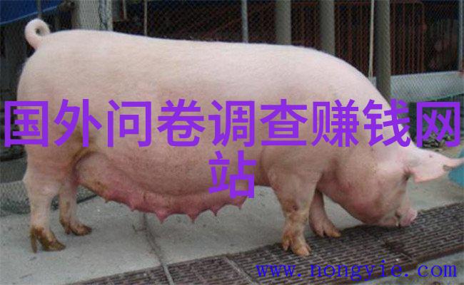 追逐季节变化感受四季分明参观沪上附近农场体验