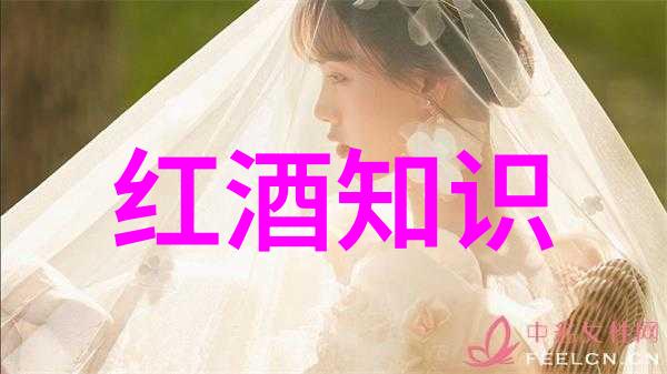 高清精美人像摄影艺术展