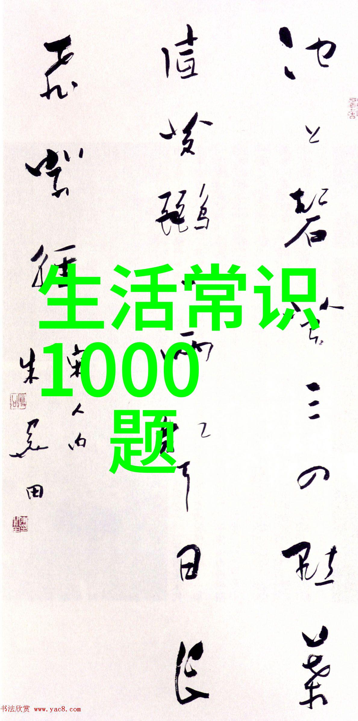 上海周边旅行指南隐世古镇与摩天大楼的奇妙对比