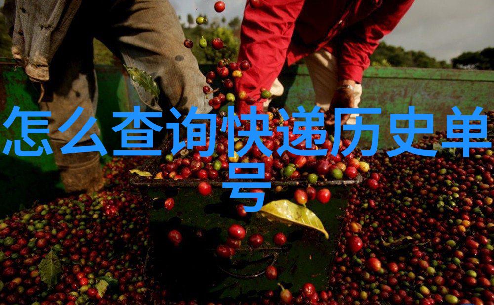 兰州庄园乳业有限责任公司我在这里的故事从牧场到桌上的鲜活美味