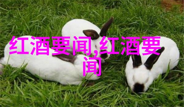 品味红酒文化醉心于葡萄园的诗篇与酿造之艺术