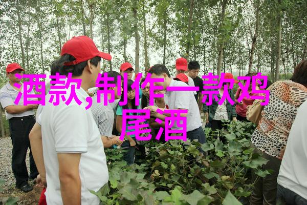 我来告诉你玫瑰花品种有哪些让我们一起探索这朵浪漫的奇迹