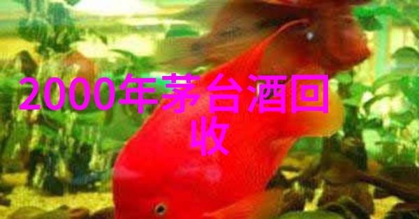 玫瑰花品种大全图解绚烂色彩的花海之旅