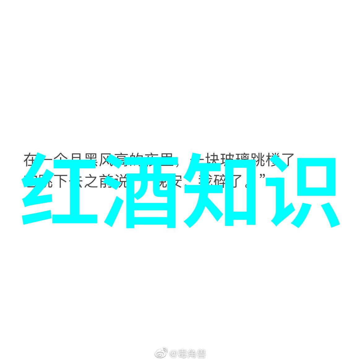 探索百花斑斓的世界玫瑰品种图鉴