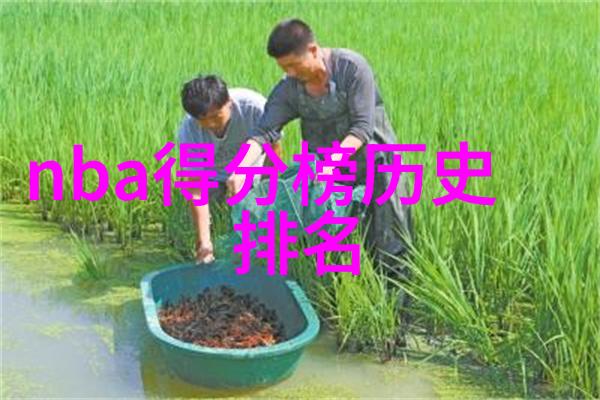 节能减排在日常生活中如何有效节约能源