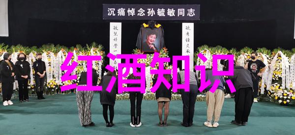 探索红酒庄园的秘密品味传统与创新之旅
