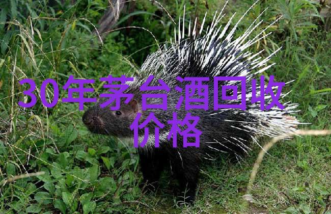 一杯红酒下的回忆与梦想心情的绘声绘影