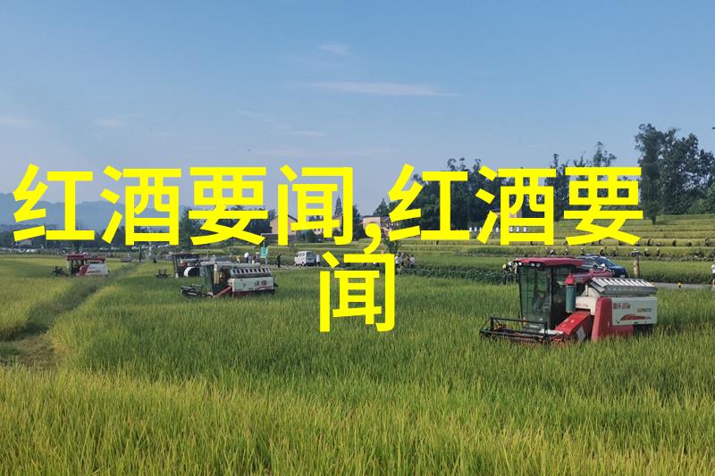 玉米种子排名前10优质玉米种子的选择