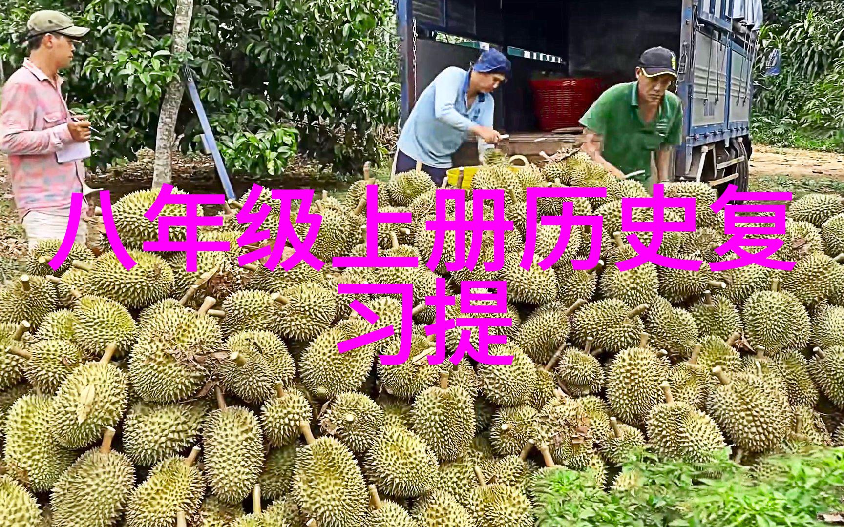 周边一日游探秘面包中隐藏的酒香之谜