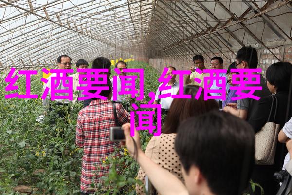 神奇智慧探索解开谜题展现你的聪明才华
