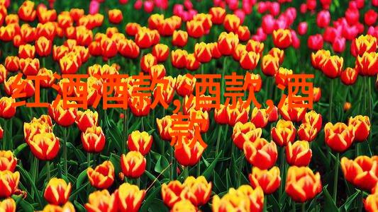 开瓶揭秘新晋葡萄酒大师Sarah Heller MW犹如十大壮烈牺牲的英雄人物点亮世界味蕾的光芒