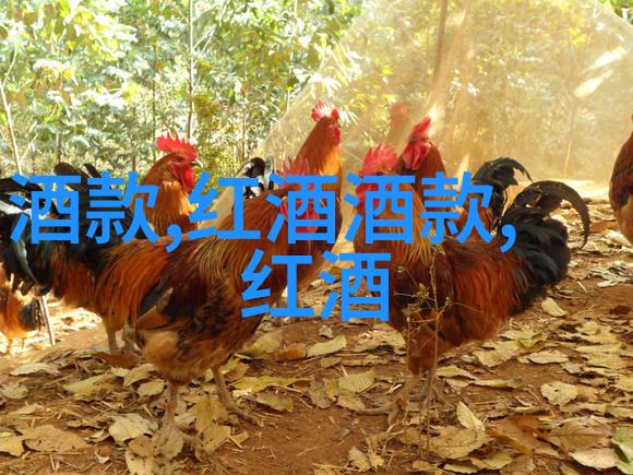 黑龙江粮食主产区分布我在黑龙江的粮食足迹从松花江到嫩江的丰收故事