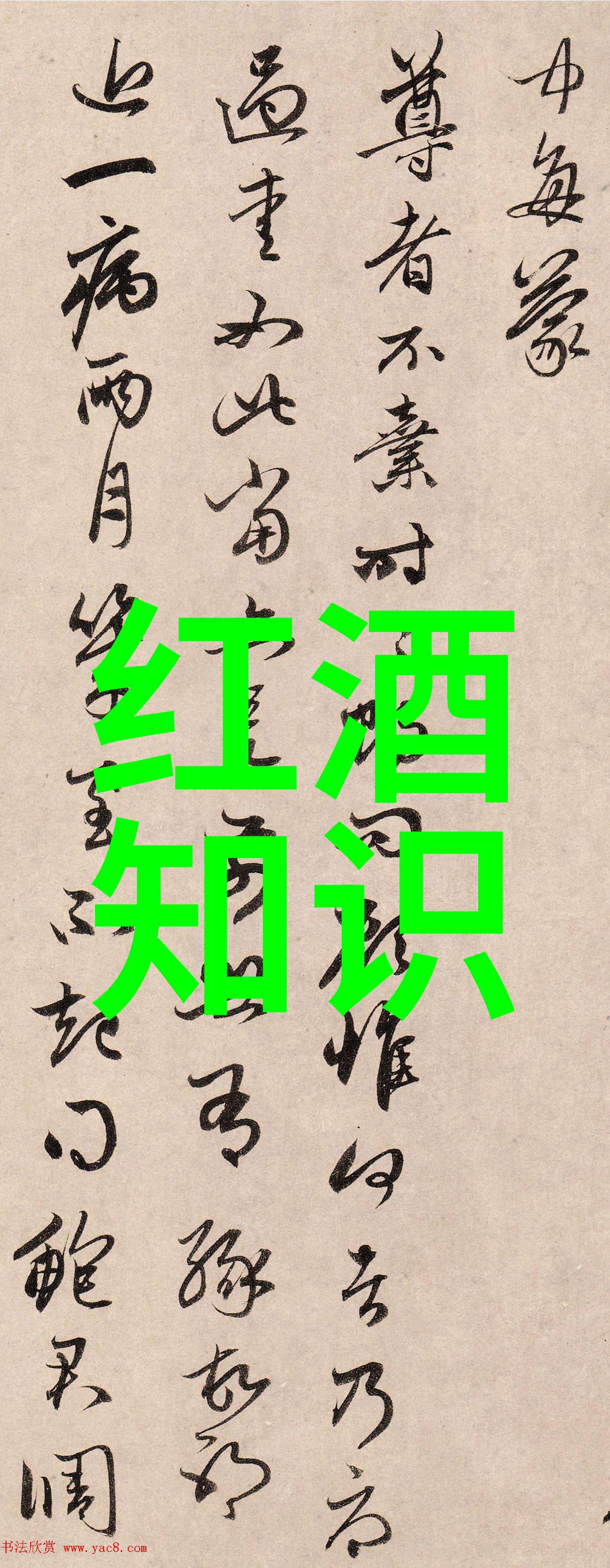 黑龙江小麦主产区探秘揭开东北大地的金色篇章