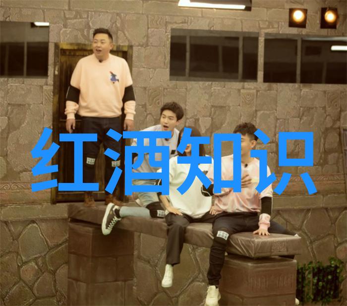 安索梅酒庄乃世上最负盛名之庄园游戏下载