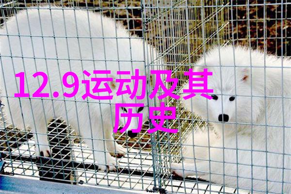 主题我就告诉你收藏天下app下载一招鲜吃遍天