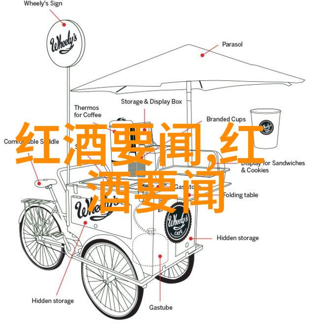 中国女子闯入海湖庄园传奇与挑战的交汇点