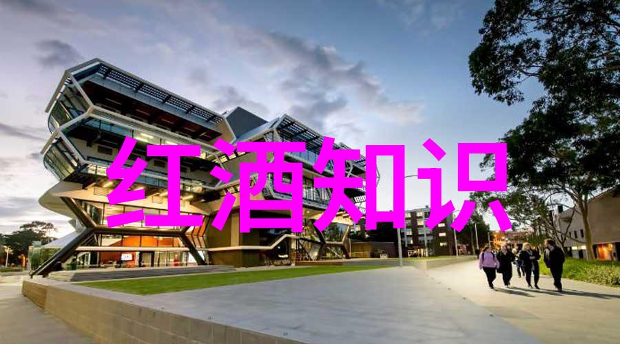 图像之旅探索波尔多产区的美丽风光与葡萄园景观