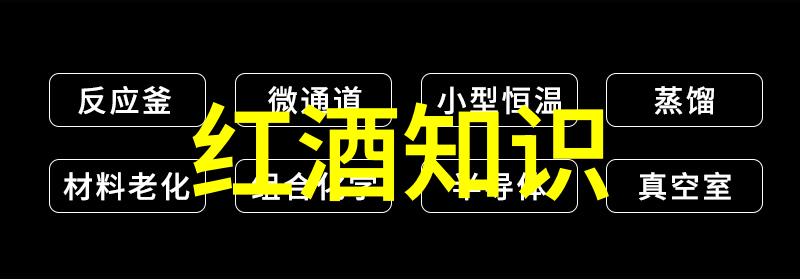 宗教领袖之旅深入了解塑造信仰世界观的人物