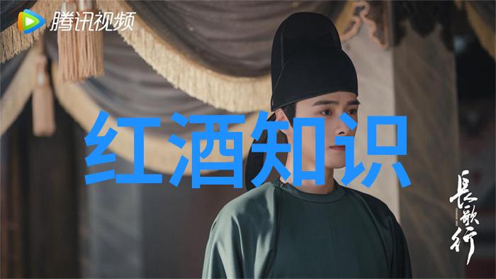 战火中的英雄历史上哪些人敢于挑战命运