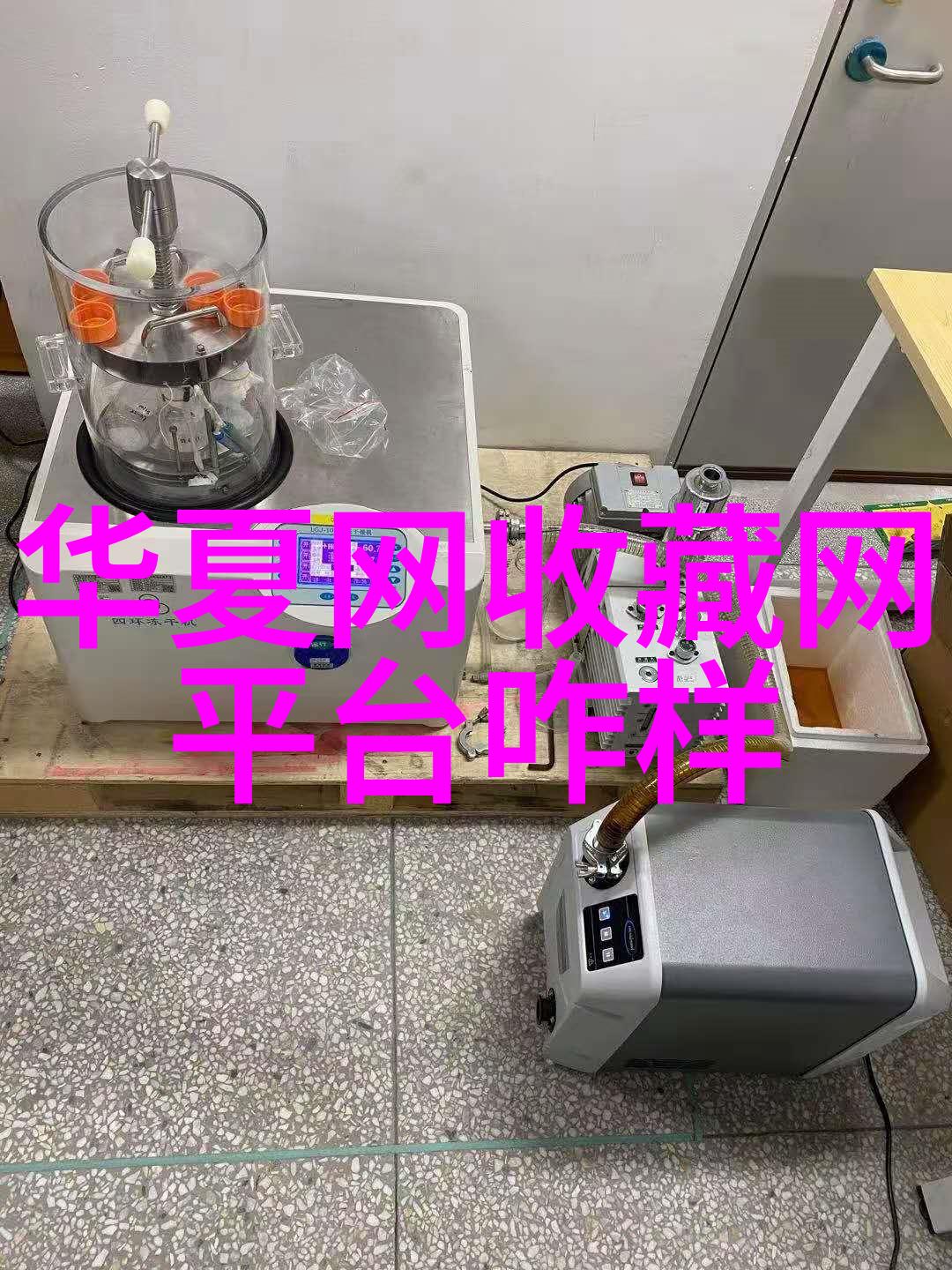 小学问答乐趣大挑战趣味问答题让小学生焕发智慧光芒