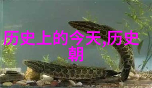 玉米育种史从原生到现代多样化的进程