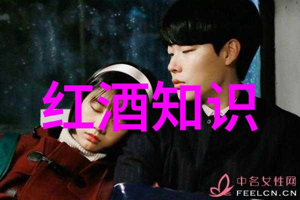在阿根廷门多萨产区的壮丽风光中里斯特哈克产区如同一颗璀璨的钻石闪耀着独特的韵味