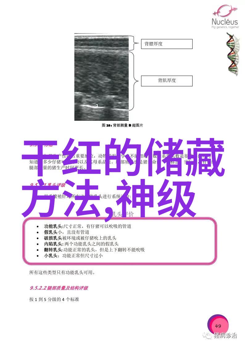 色彩简笔人物肖像的抽象探索