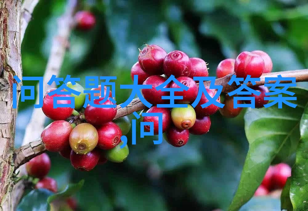 中世纪骑士庄园生活历史上的骑士和农奴的日常生活