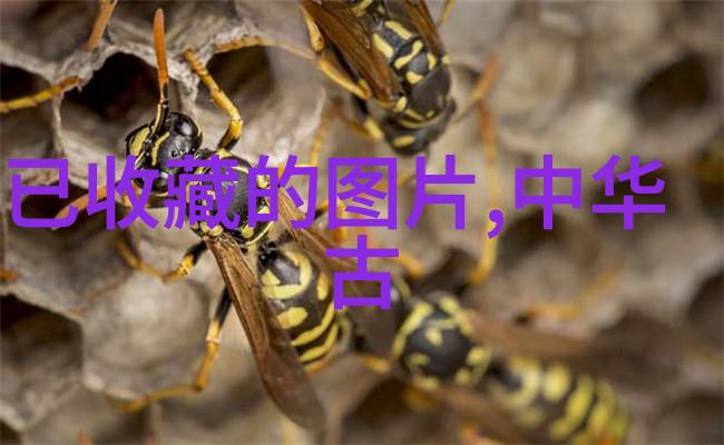 重温往昔拥抱未来新一代青年对收藏历史感兴趣吗为什么呢