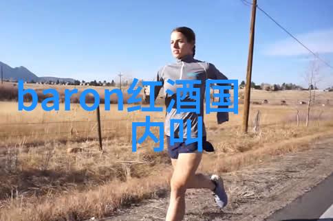 法国红酒之梦从葡萄田到世界舞台的传奇