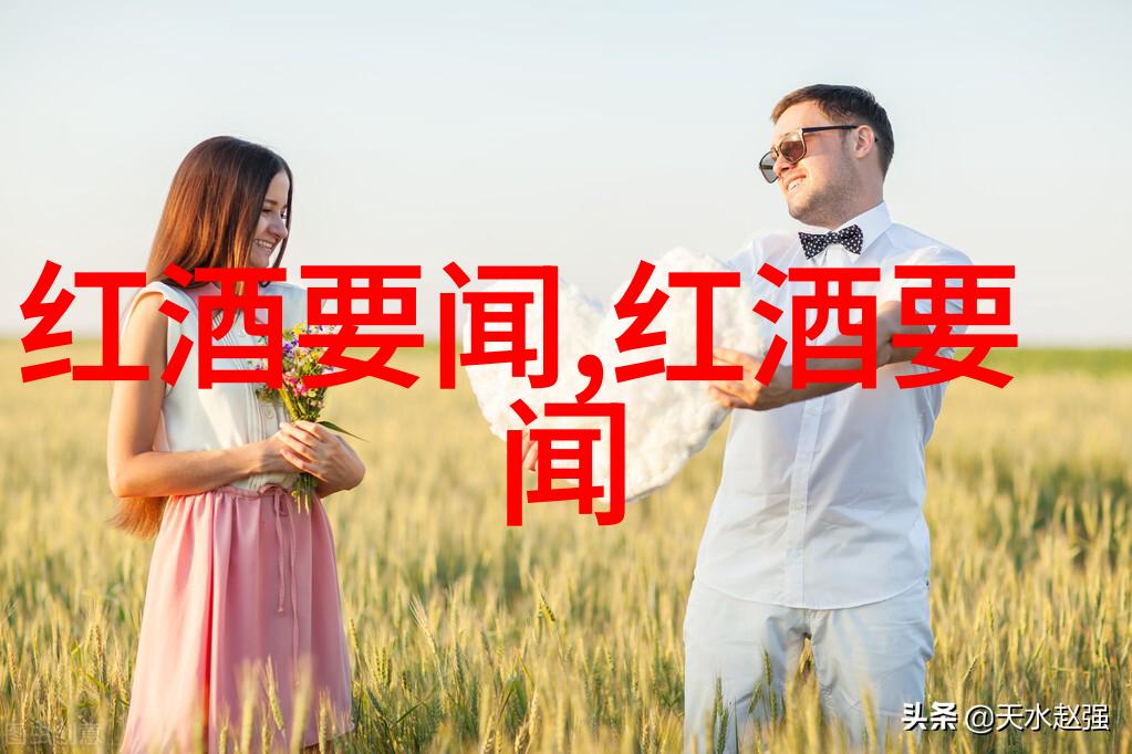 九一传媒制片厂免费传媒资源的宝库