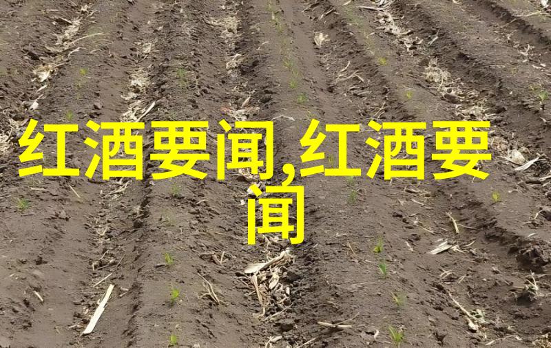 红酒之夜探索葡萄酒的艺术与魅力