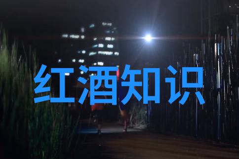 时光回响古老文明的沉浮