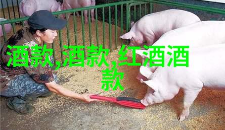 隆河丘产区品味非凡的山水美景与优质葡萄酒