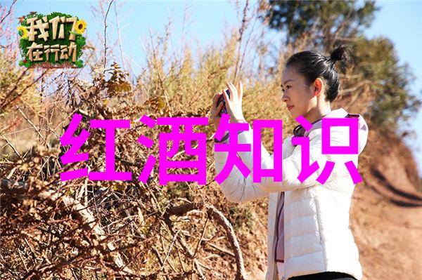 我去探访世界级葡萄园里的秘密