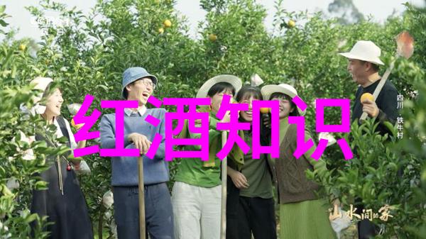 波尔多酒主因纳帕的魅力而沉迷收藏钱币市场价格如同醉人的葡萄酒让人难以抗拒