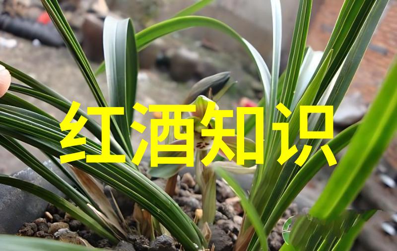 背景与前景融合将简单动漫人物画置于环境中的艺术方法