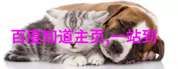 上海周边旅游热点探秘发现隐珠之旅