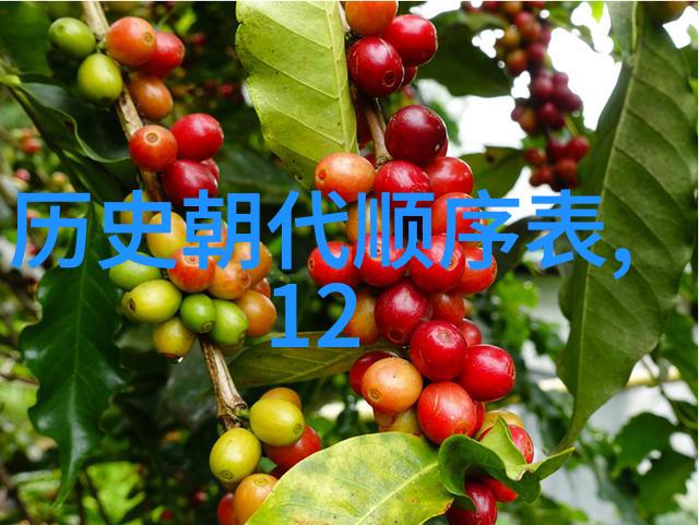 穿越虚拟现实找到那扇神秘的答主入口
