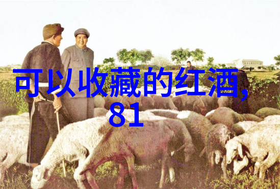主题我和你一起探索玫瑰花的全貌品种海洋与照片展览