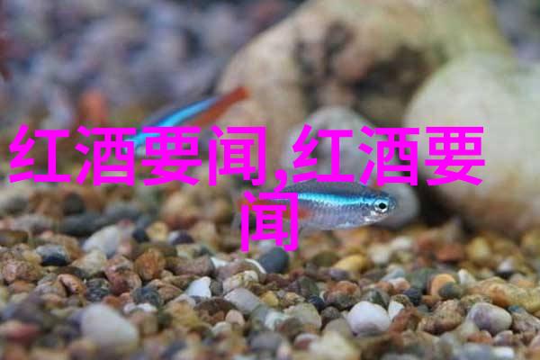 金屬彈珠的歷史價值與現今市場走向