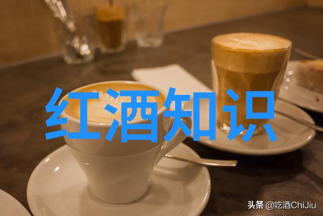超级波尔多产区在哪里我去过的最美丽葡萄园之旅