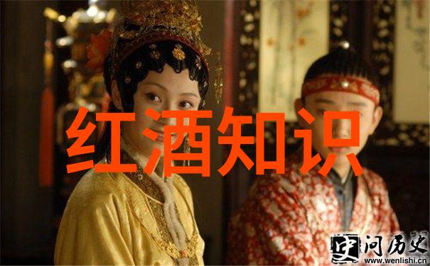 红酒文化的精髓一场时光与味觉的交响phony