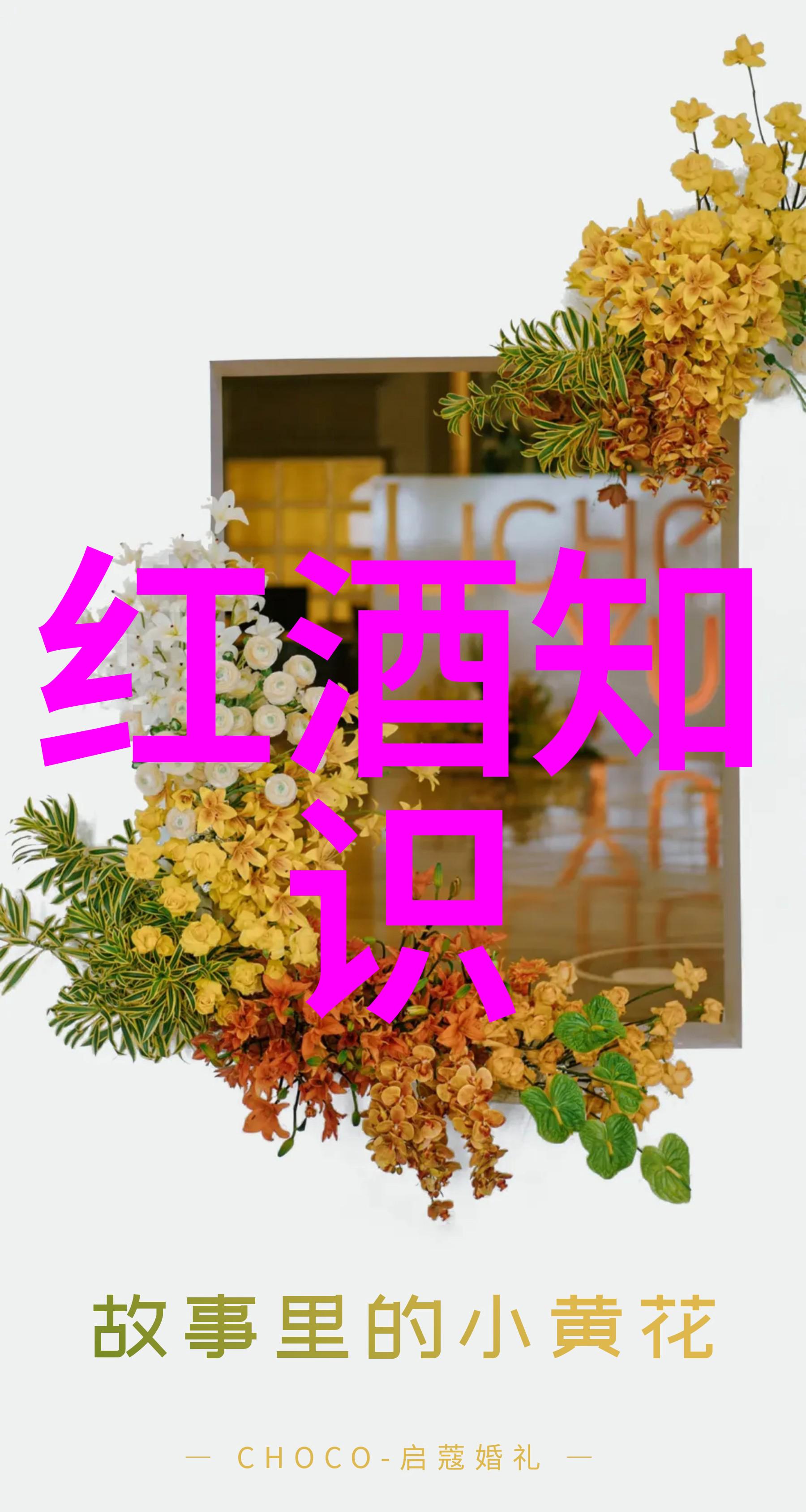 华夏钱币收藏网登录我是怎么成为钱币收藏的高手