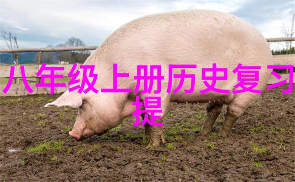 上海周边的绝佳游憩胜地探秘