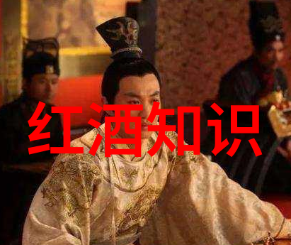 酒的醇香与人生的哲学探索酒文化精神的深度