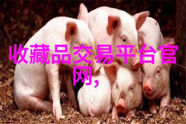探秘上海周边最经济房地产揭秘价格最低的居住天堂