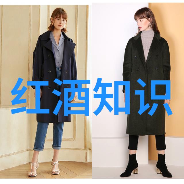 超凡魅力的瞬间捕捉美丽瞬间的艺术之境