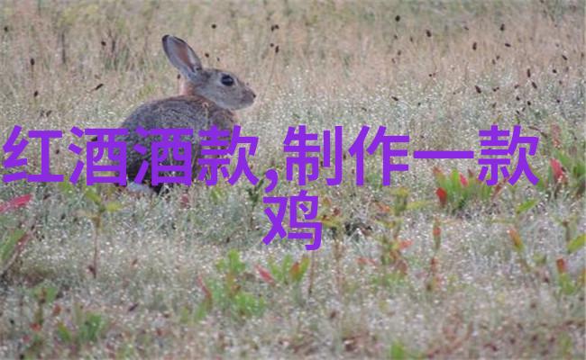 猫的美妙名字选择你的新宠物时的灵感来源